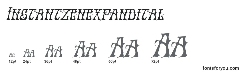 Размеры шрифта Instantzenexpandital