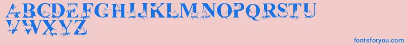 LmsChristmasCardinals Font – Blue Fonts on Pink Background