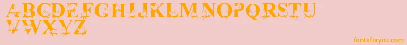 LmsChristmasCardinals Font – Orange Fonts on Pink Background