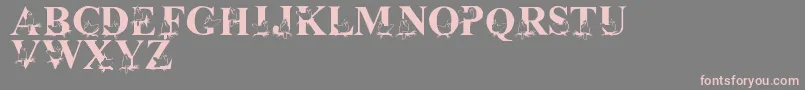 LmsChristmasCardinals Font – Pink Fonts on Gray Background