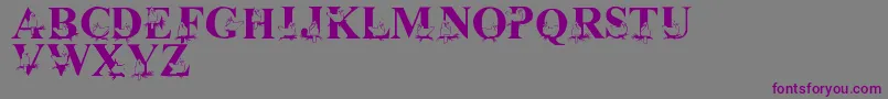 LmsChristmasCardinals Font – Purple Fonts on Gray Background