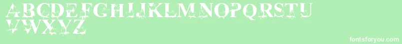 LmsChristmasCardinals Font – White Fonts on Green Background