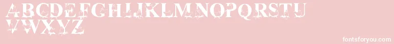 LmsChristmasCardinals Font – White Fonts on Pink Background