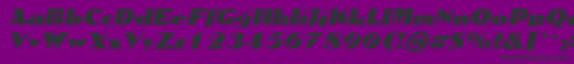 DomaignItalic Font – Black Fonts on Purple Background