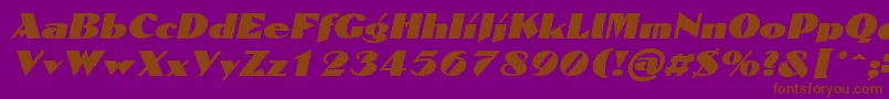 DomaignItalic-Schriftart – Braune Schriften auf violettem Hintergrund