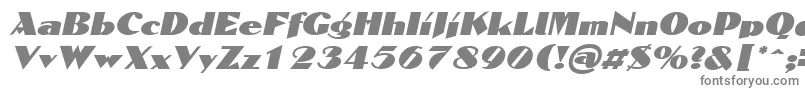 フォントDomaignItalic – 白い背景に灰色の文字