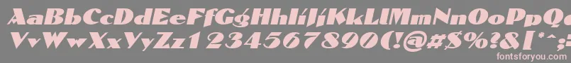 DomaignItalicフォントについての詳細 フォントDomaignItalic – 灰色の背景にピンクのフォント