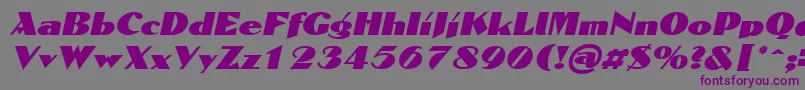 DomaignItalic Font – Purple Fonts on Gray Background