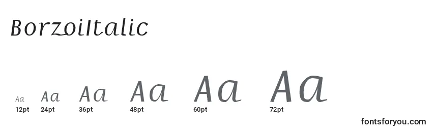 Размеры шрифта BorzoiItalic