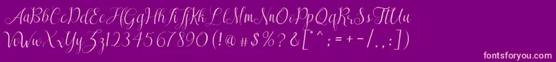 SareekaDemo Font – Pink Fonts on Purple Background