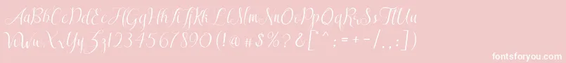 SareekaDemo-Schriftart – Weiße Schriften auf rosa Hintergrund