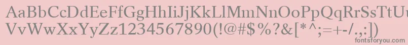 フォントRotationLtRoman – ピンクの背景に灰色の文字