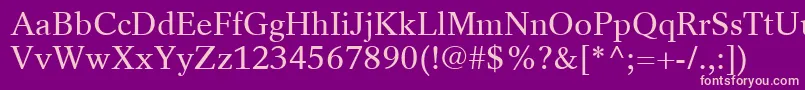 RotationLtRoman Font – Pink Fonts on Purple Background