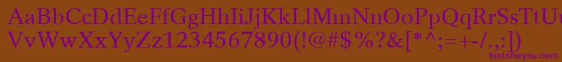 RotationLtRoman Font – Purple Fonts on Brown Background