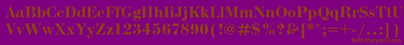 BodonicBold Font – Brown Fonts on Purple Background