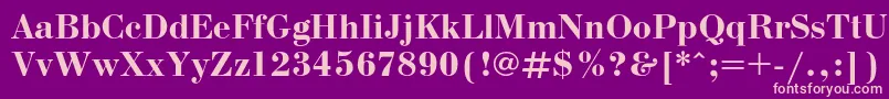 BodonicBold Font – Pink Fonts on Purple Background