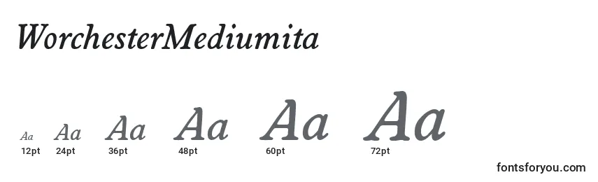 Размеры шрифта WorchesterMediumita