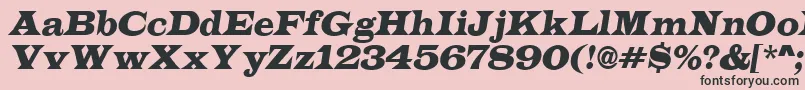 LatinoItalic Font – Black Fonts on Pink Background