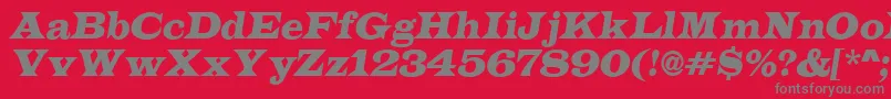 フォントLatinoItalic – 赤い背景に灰色の文字