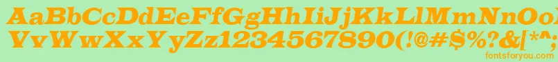 LatinoItalic Font – Orange Fonts on Green Background