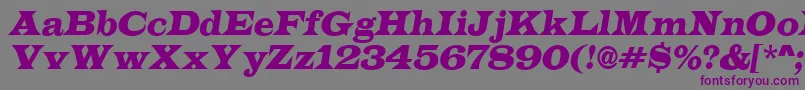 LatinoItalic Font – Purple Fonts on Gray Background