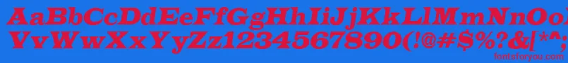 LatinoItalic Font – Red Fonts on Blue Background