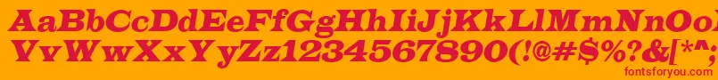 LatinoItalic Font – Red Fonts on Orange Background