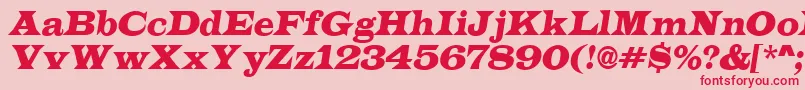 LatinoItalic Font – Red Fonts on Pink Background