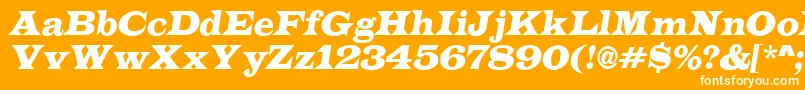 LatinoItalic Font – White Fonts on Orange Background