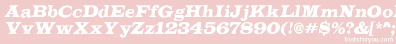 LatinoItalic Font – White Fonts on Pink Background