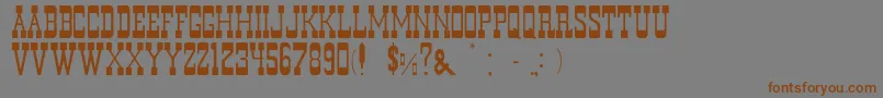 Weitere Informationen zur DurangoNormal-Schriftart DurangoNormal-Schriftart – Braune Schriften auf grauem Hintergrund
