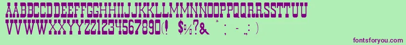 DurangoNormal Font – Purple Fonts on Green Background