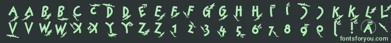 Sharkjockey Font – Green Fonts on Black Background
