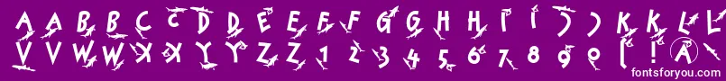 Sharkjockey Font – White Fonts on Purple Background