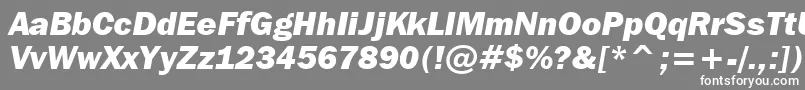 FranklinGothicItcHeavyItalicBt Font – White Fonts on Gray Background