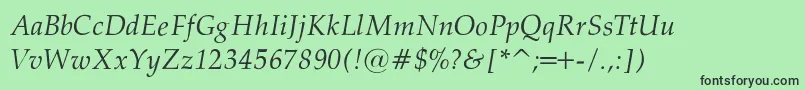 PalatinoNormalItalicRegular Font – Black Fonts on Green Background