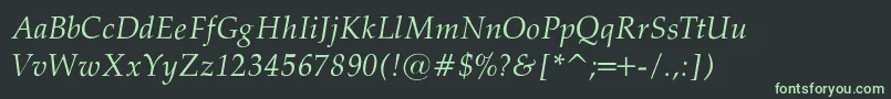 フォントPalatinoNormalItalicRegular – 黒い背景に緑の文字