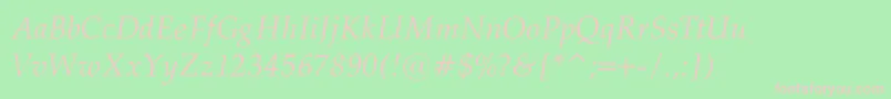 PalatinoNormalItalicRegular Font – Pink Fonts on Green Background