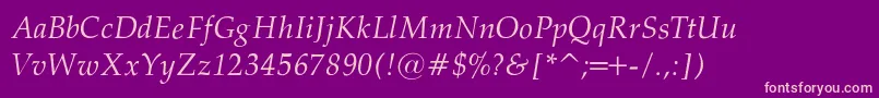 PalatinoNormalItalicRegular Font – Pink Fonts on Purple Background