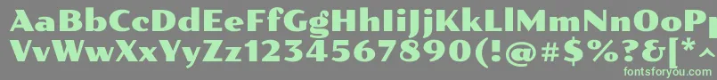 Pollerone Font – Green Fonts on Gray Background