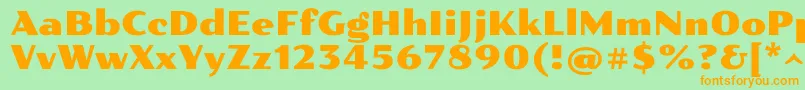 Pollerone Font – Orange Fonts on Green Background