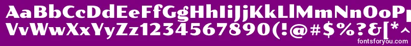 Pollerone Font – White Fonts on Purple Background