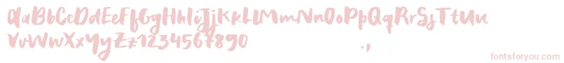 RecklessSample Font – Pink Fonts on White Background