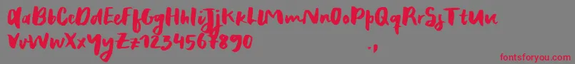 RecklessSample Font – Red Fonts on Gray Background