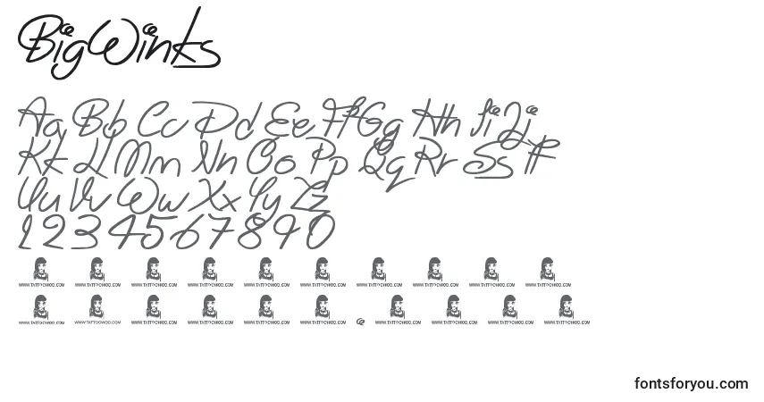 Шрифт BigWinks – алфавит, цифры, специальные символы