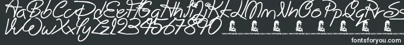 BigWinks Font – White Fonts