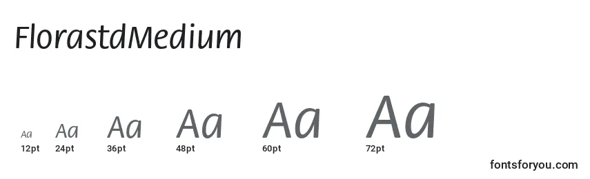 Размеры шрифта FlorastdMedium