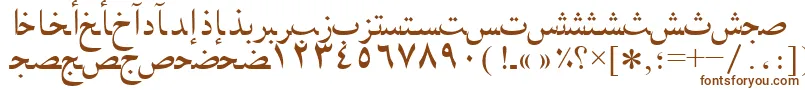 Arabicnaskhssk Font – Brown Fonts