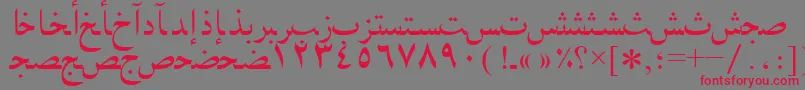 Arabicnaskhssk Font – Red Fonts on Gray Background