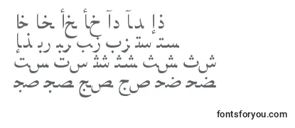 Schriftart Arabicnaskhssk